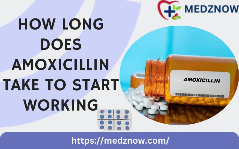 how-long-does-amoxicillin-take-to-start-working
