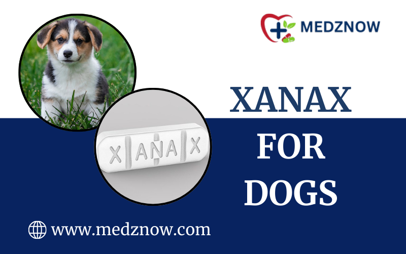 Xanax For Dogs