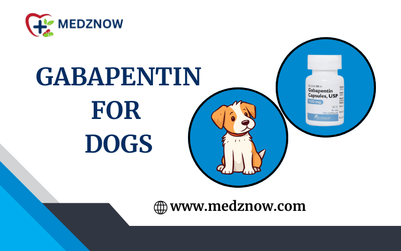 Gabapentin For Dogs